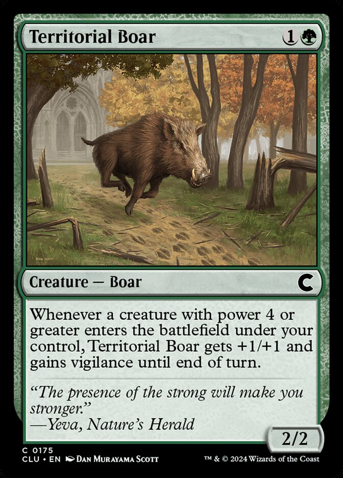 Territorial Boar