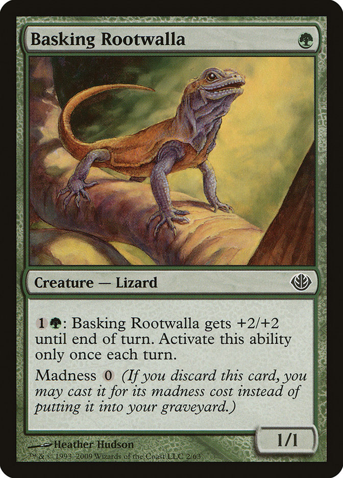 Basking Rootwalla