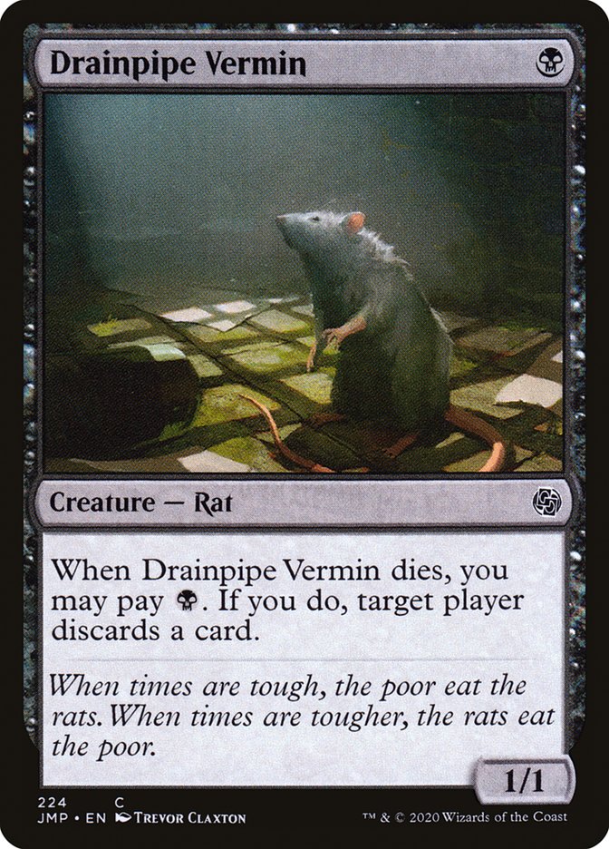 Drainpipe Vermin