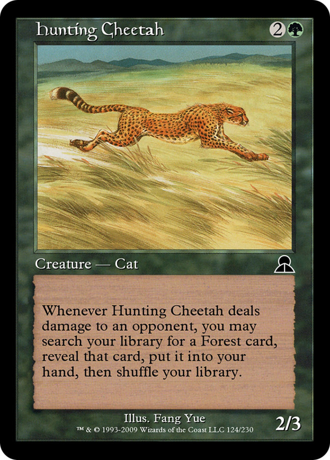 Hunting Cheetah