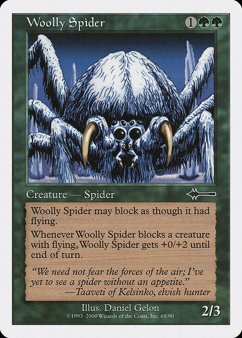 Woolly Spider