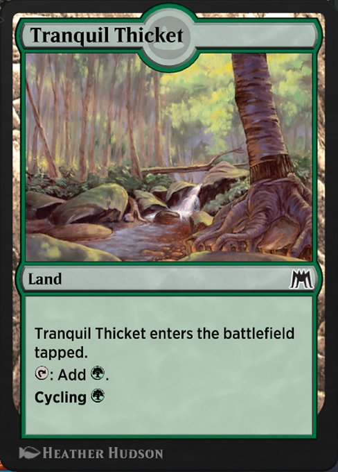 Tranquil Thicket