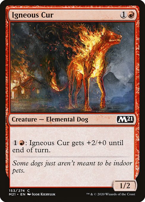 炎血の野犬