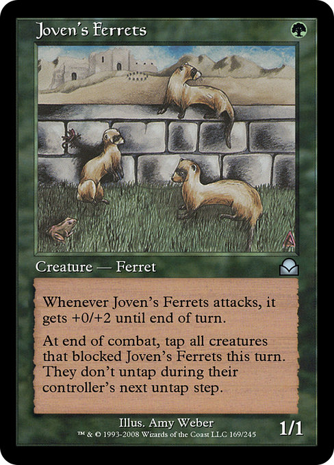 Joven's Ferrets