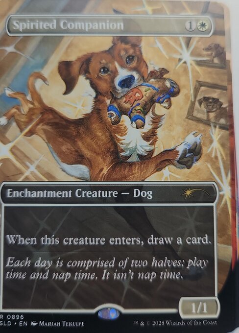 Spirited Companion
