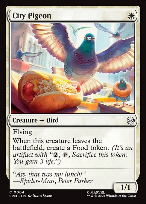 街の鳩