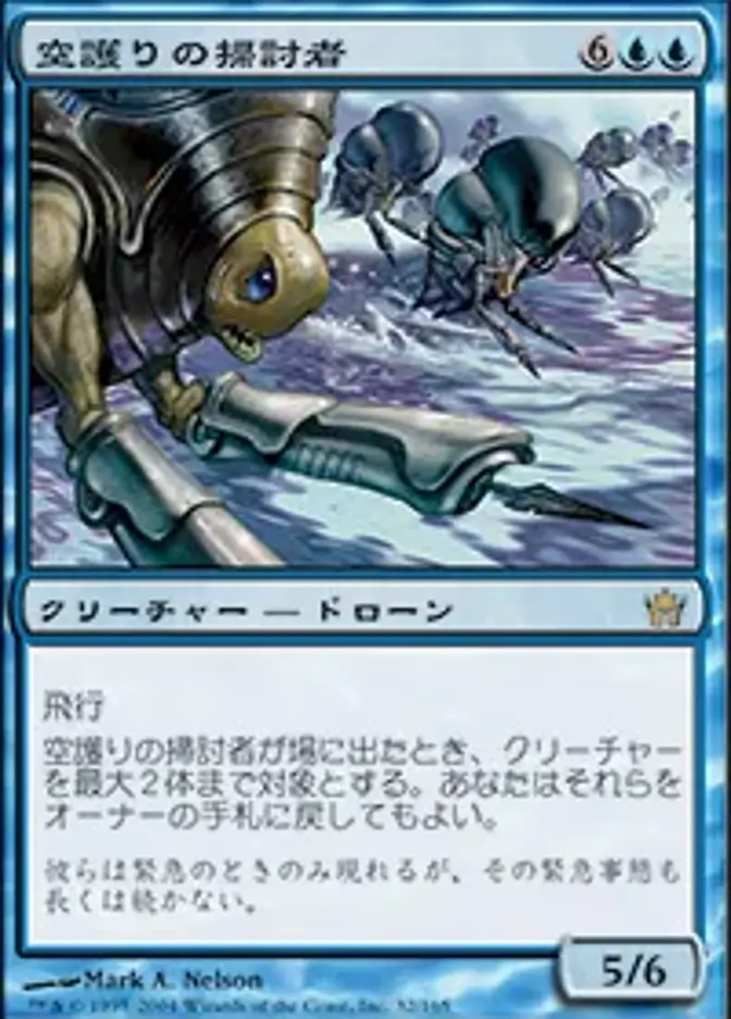 空護りの掃討者