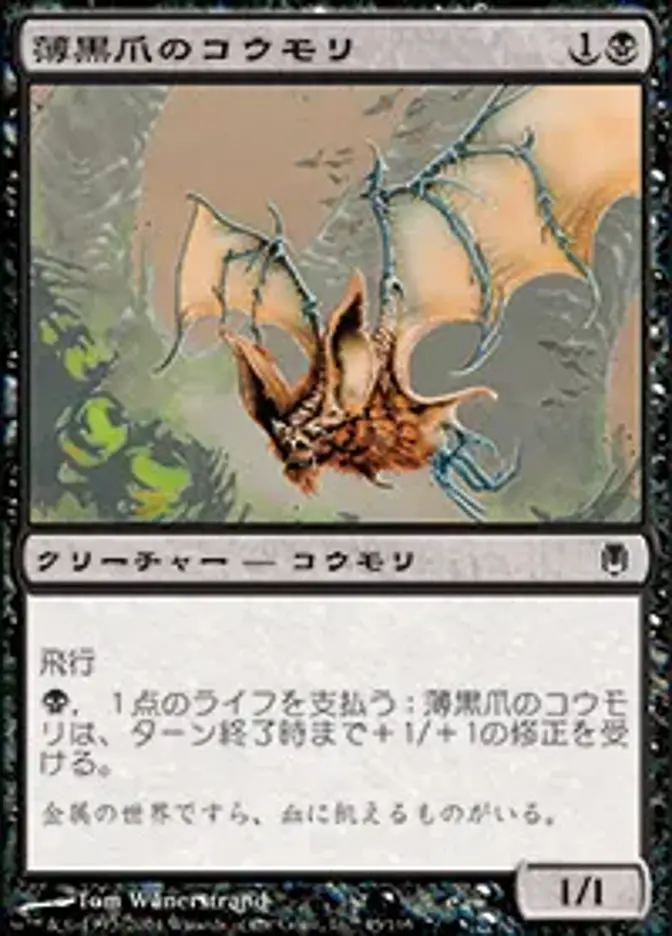 薄黒爪のコウモリ