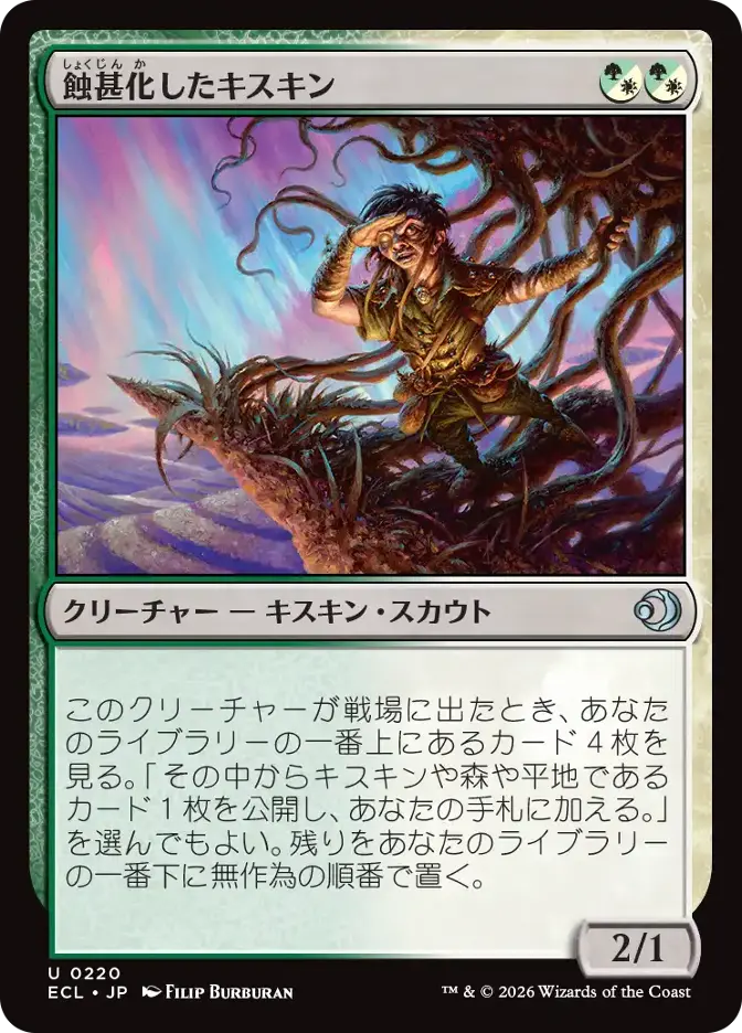 蝕甚化したキスキン