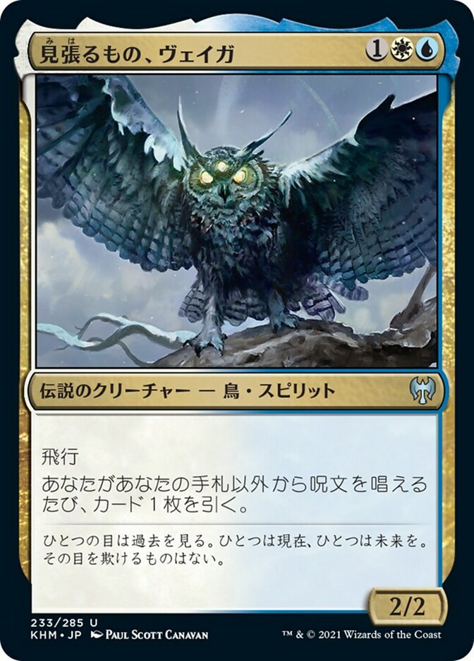 見張るもの、ヴェイガ