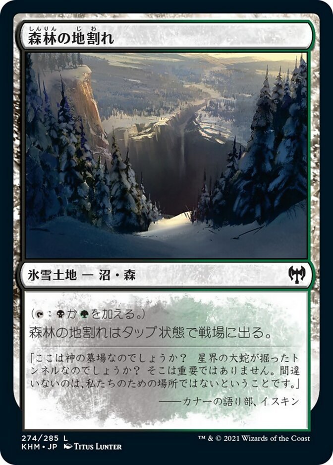 森林の地割れ