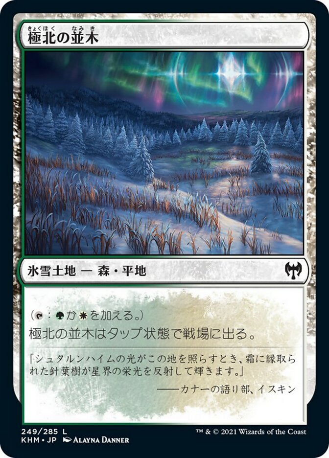 極北の並木