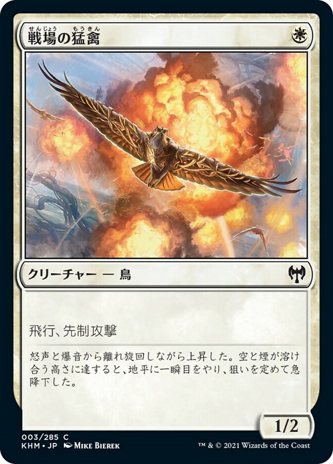 戦場の猛禽