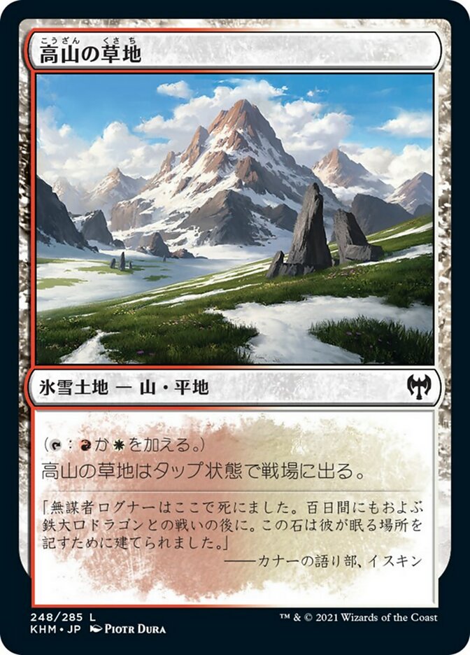 高山の草地