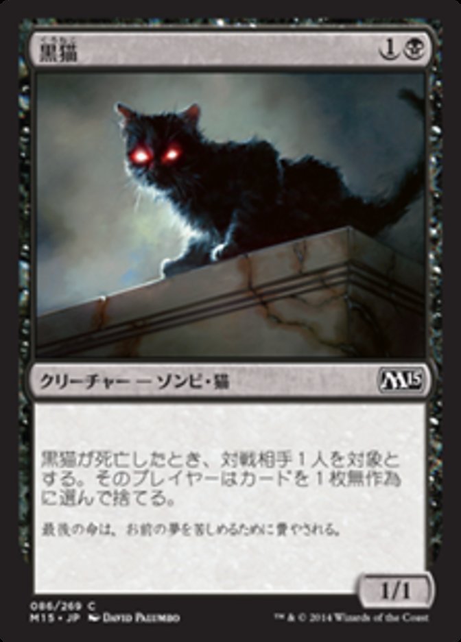 黒猫