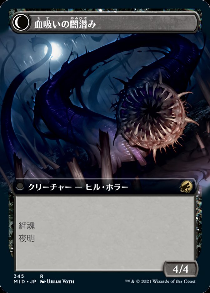 血吸いの闇潜み