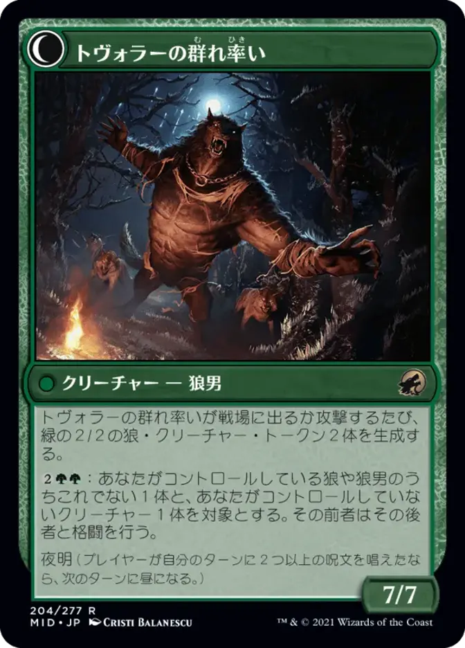 トヴォラーの群れ率い