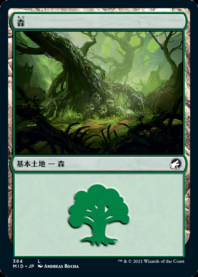 森