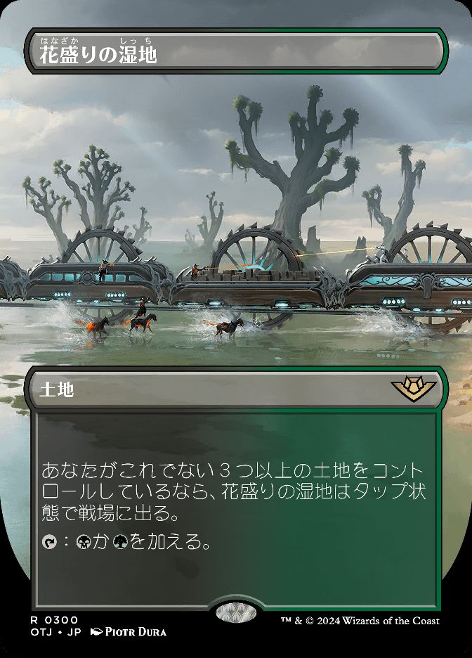 花盛りの湿地