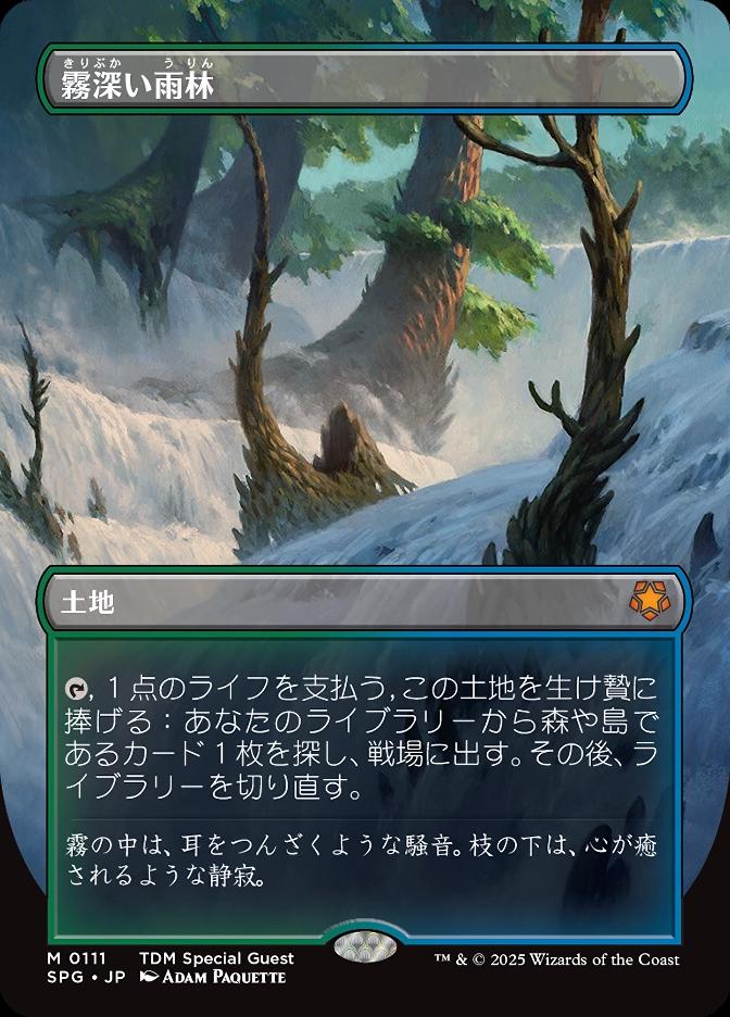 霧深い雨林