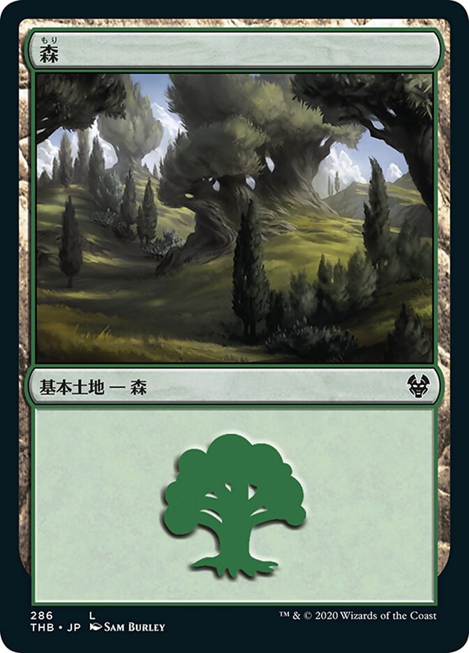 森
