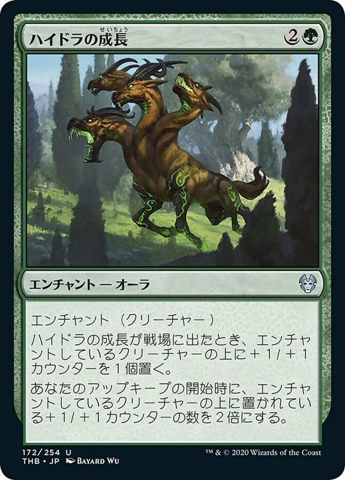 ハイドラの成長