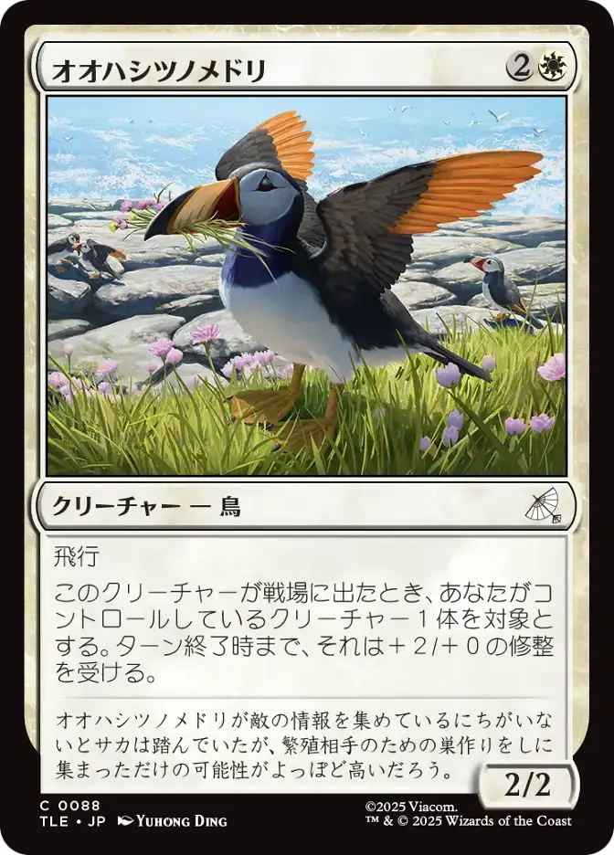 オオハシツノメドリ