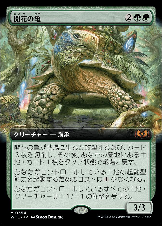 開花の亀