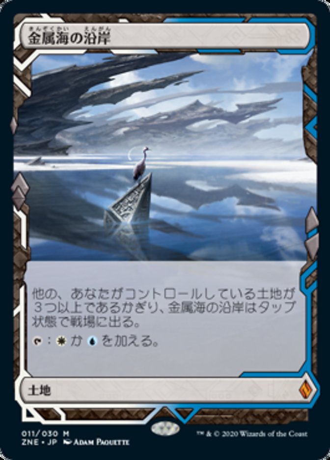 金属海の沿岸