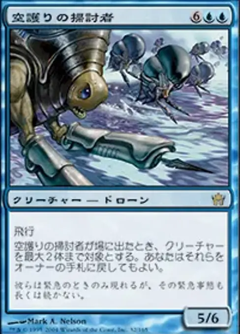 空護りの掃討者