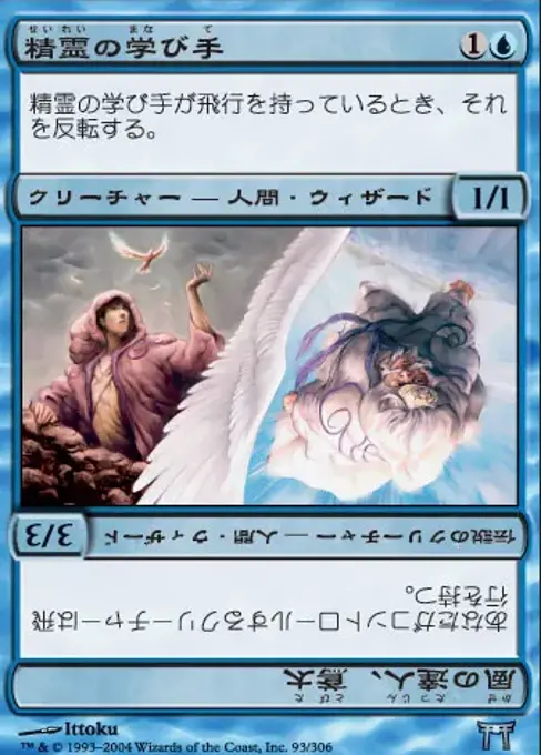 精霊の学び手