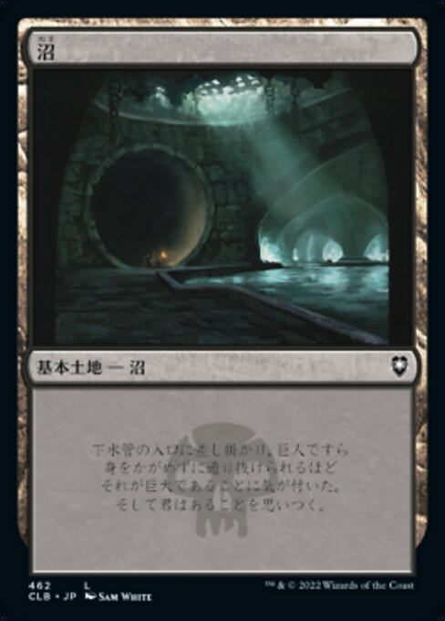 沼
