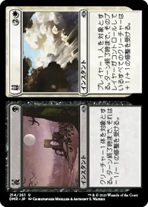 夜