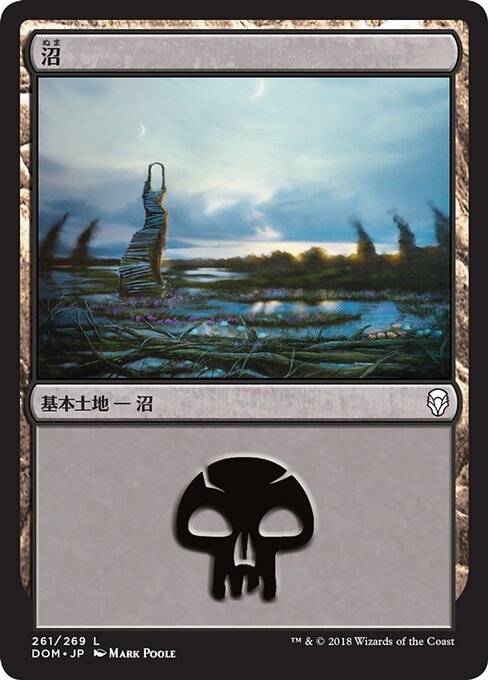 沼