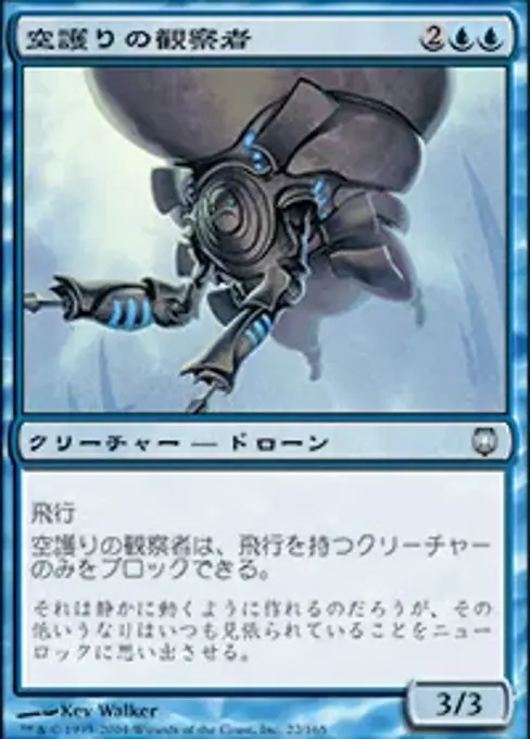 空護りの観察者