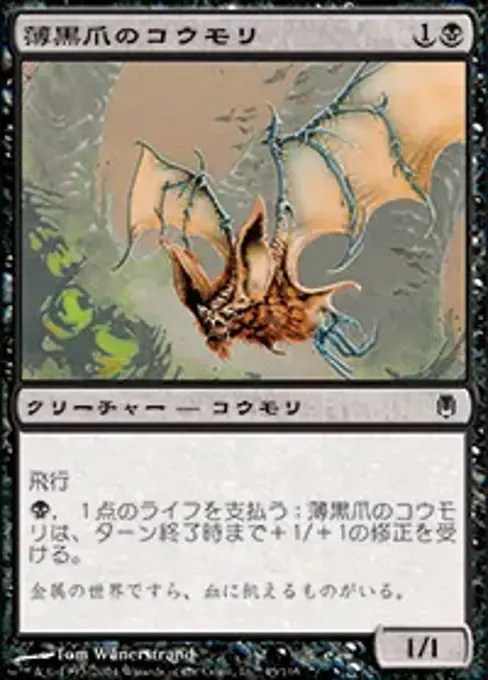 薄黒爪のコウモリ