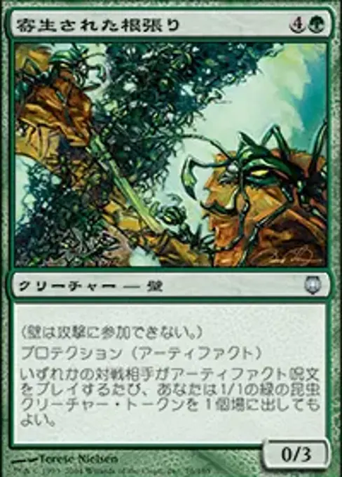 寄生された根張り