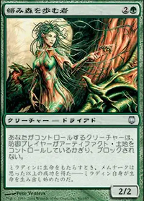 絡み森を歩む者