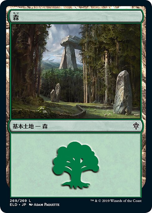 森