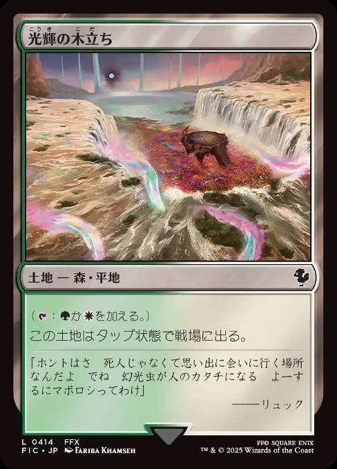 光輝の木立ち