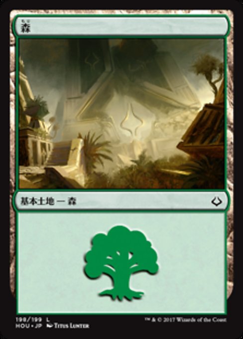 森