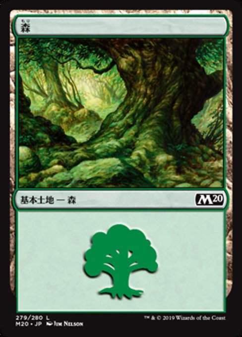 森