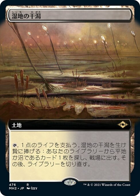 湿地の干潟