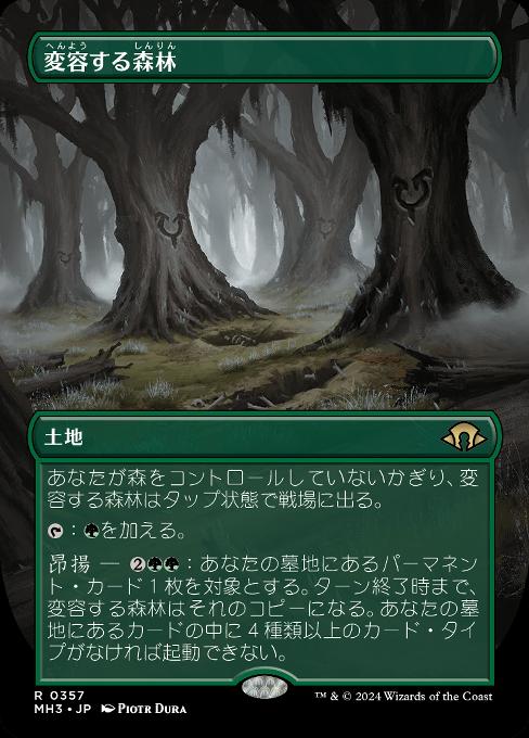 変容する森林