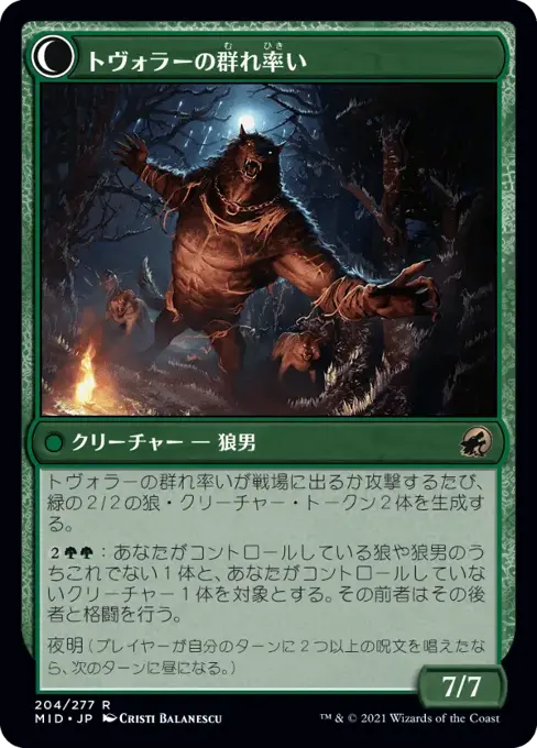 トヴォラーの群れ率い