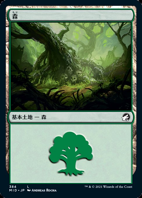 Forest