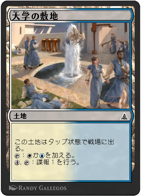 大学の敷地
