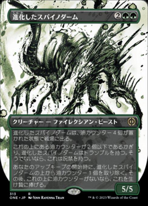 Evolved Spinoderm