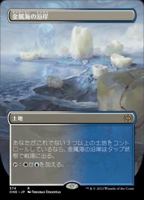 金属海の沿岸