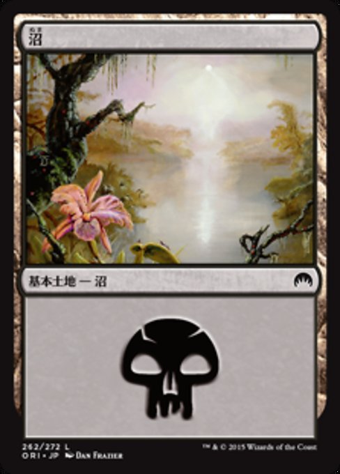 沼